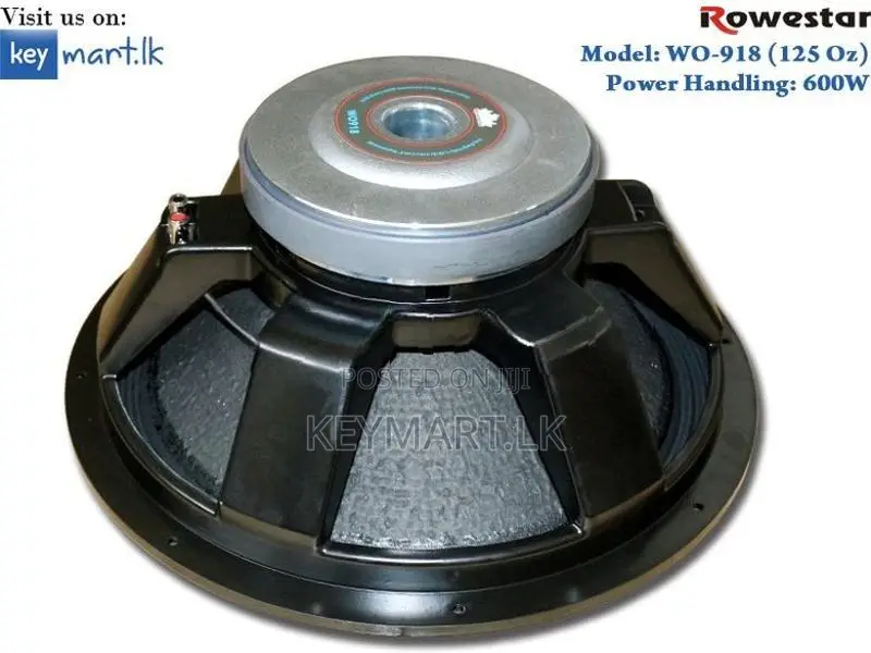 600W 18" Full-Range Woofer Speaker WO918