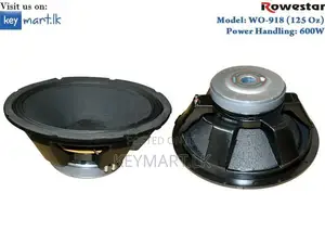 600W 18" Full-Range Woofer Speaker WO918