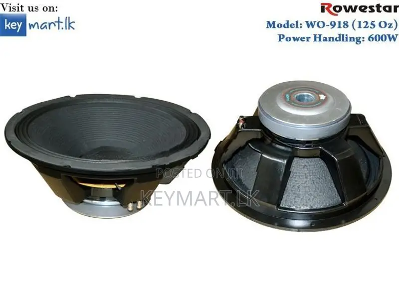 600W 18" Full-Range Woofer Speaker WO918