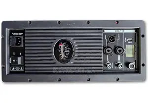 WO-918 600W RMS Class-D Sub Woofer Amplifier Module