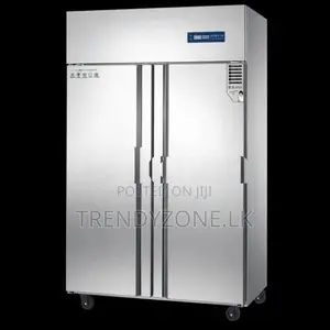 Industrial Up-Right Freezer 02 Big Doors(MQ)