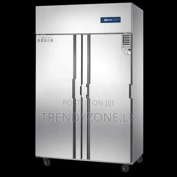 Industrial Up-Right Freezer 02 Big Doors(MQ)