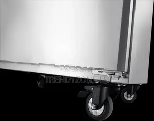 Industrial Up-Right Freezer 02 Big Doors(MQ)