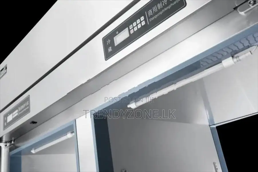 Industrial Up-Right Freezer 02 Big Doors(MQ)