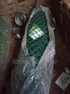 වට දැල්