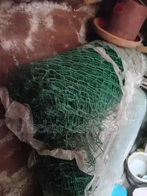 වට දැල්
