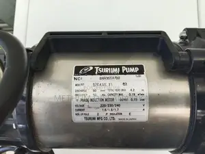 Tsurumi Water Pump