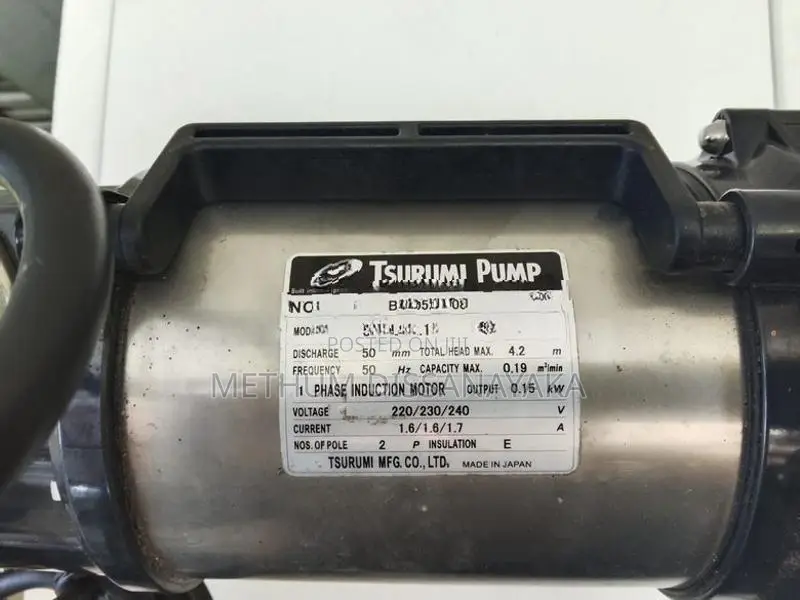 Tsurumi Water Pump