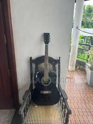 Suzuki Sdg 2 Acoustic Guitar