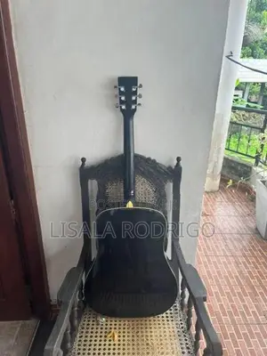 Suzuki Sdg 2 Acoustic Guitar