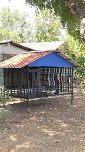 Cage