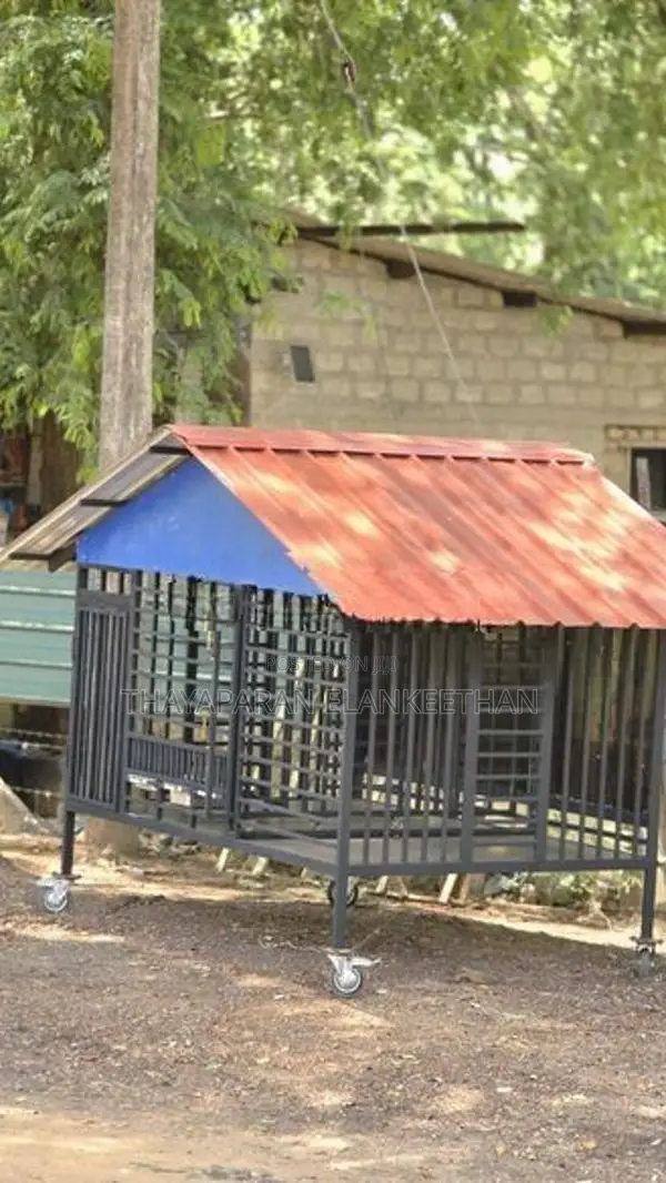 Cage