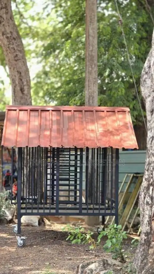 Cage