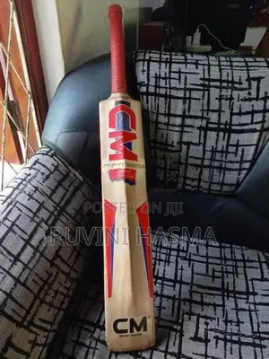 Leather Bat