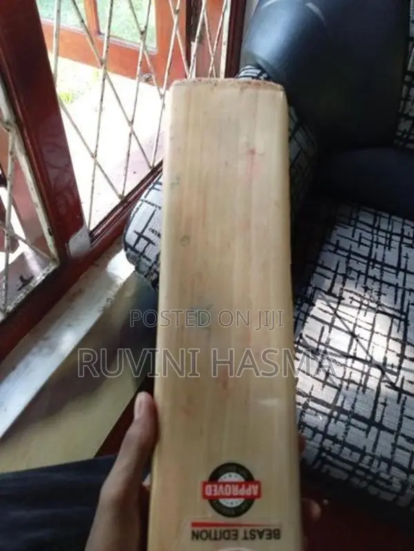 Leather Bat