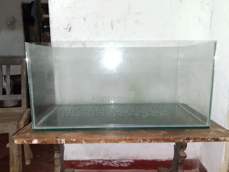 Fish Tank