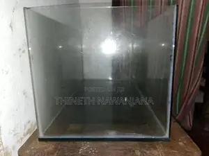 Fish Tank