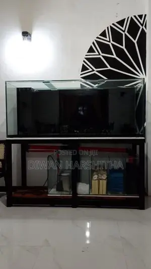 Glass 5×2 ft Fish Tank