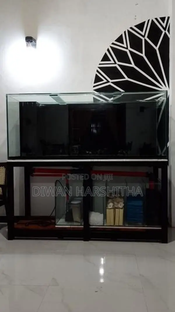 Glass 5×2 ft Fish Tank