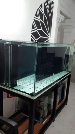 Glass 5×2 ft Fish Tank