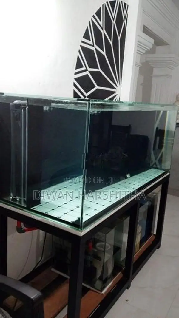 Glass 5×2 ft Fish Tank