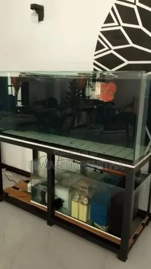 Glass 5×2 ft Fish Tank