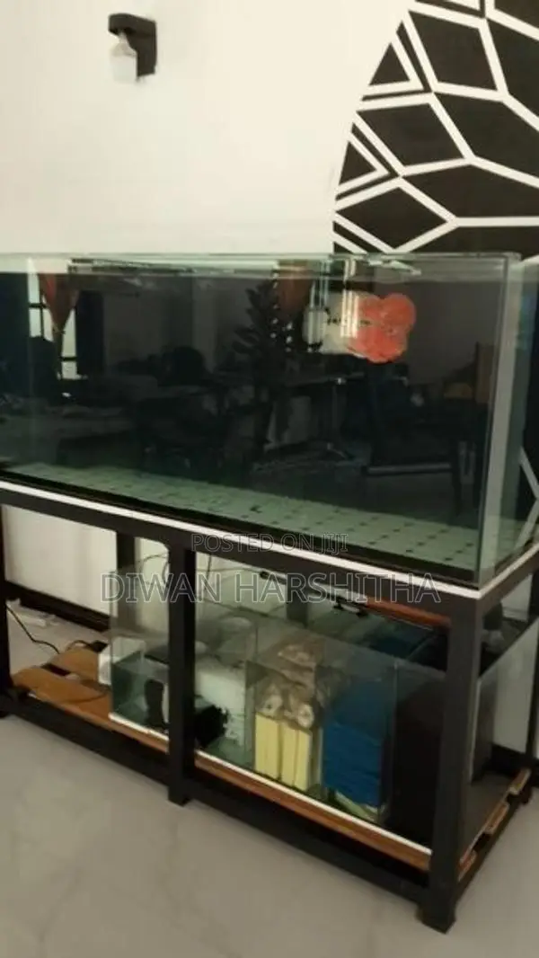 Glass 5×2 ft Fish Tank