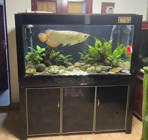 Fish Tank
