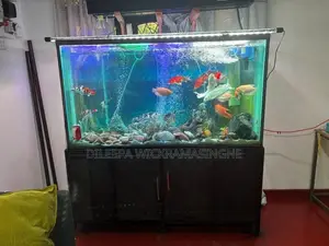 Aquarium Tank 6 Ft