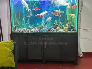 Aquarium Tank 6 Ft