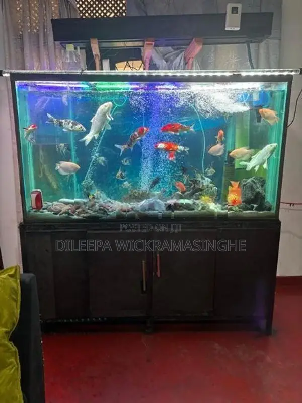 Aquarium Tank 6 Ft