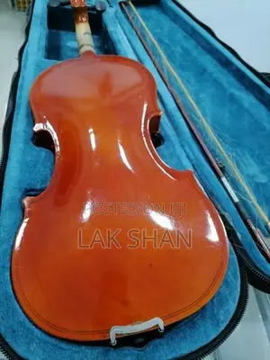 Violin