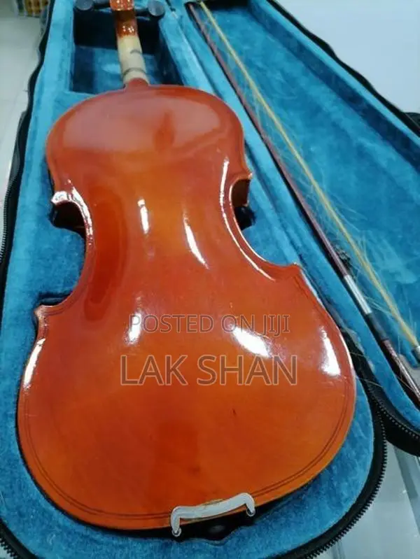 Violin