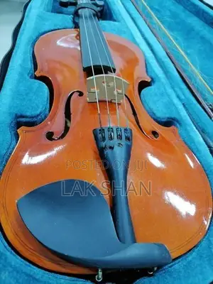 Violin
