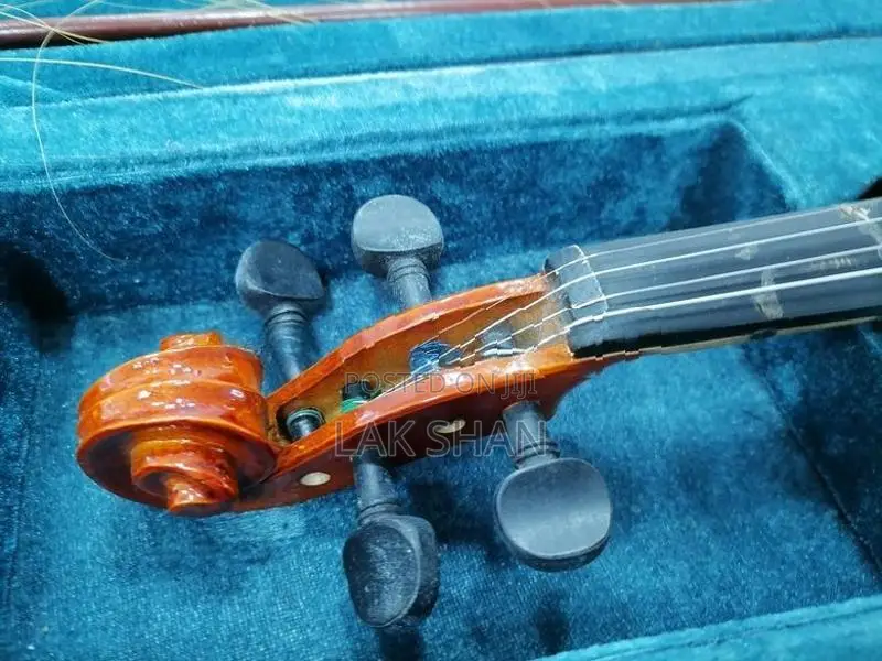Violin