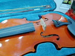 Violin