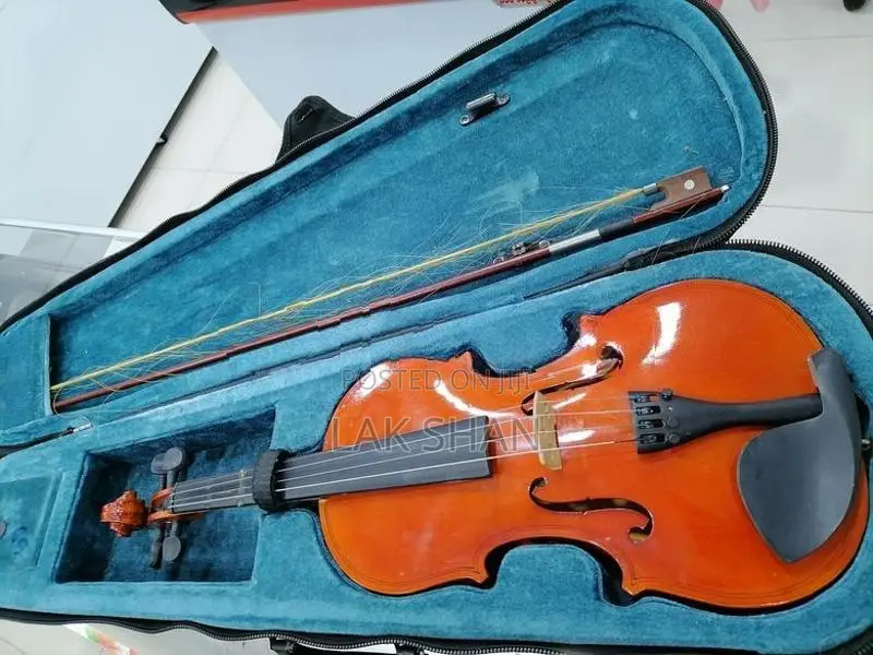 Violin