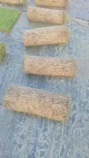 Grass Carpet