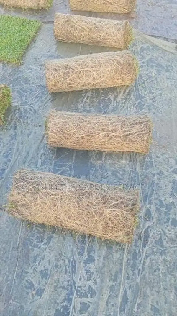 Grass Carpet