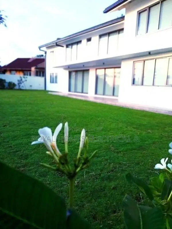 තණකොළ පැදුරු