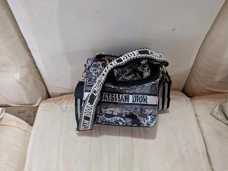 Ladies Hand Bag