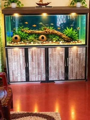 5ft Fish Tank