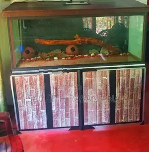 5ft Fish Tank