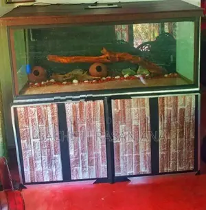 5ft Fish Tank