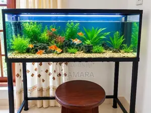 Fish Tank