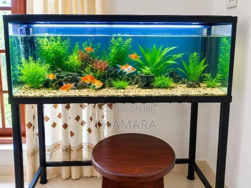 Fish Tank