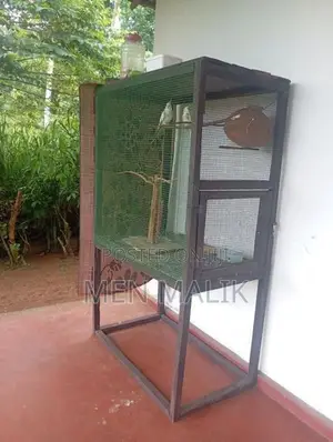 Cockatiel With Cage