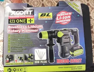 Xcort Brushless Rotary Hammer Drill XDC09-2602T