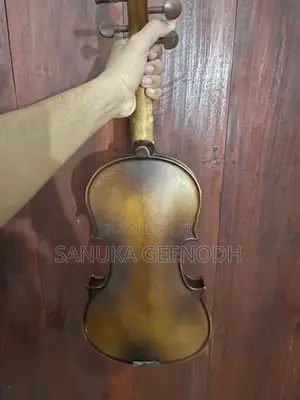 Violin