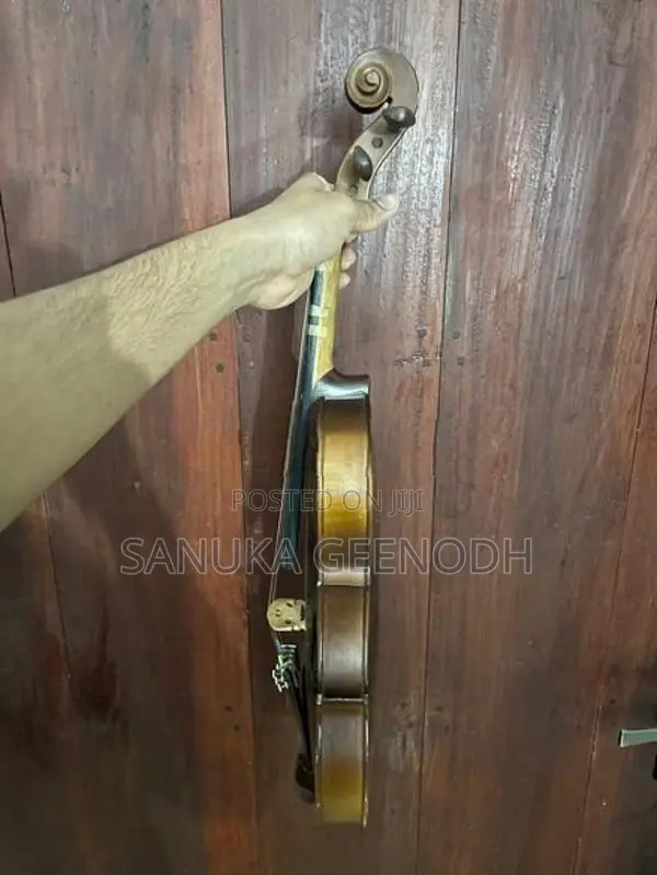 Violin
